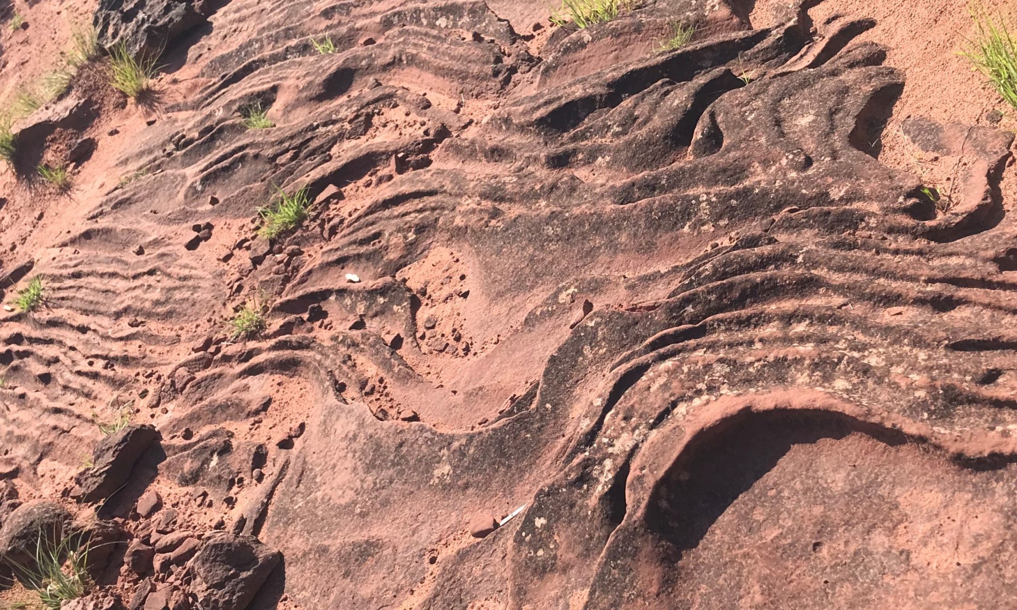 Permian sandstone ripple marks